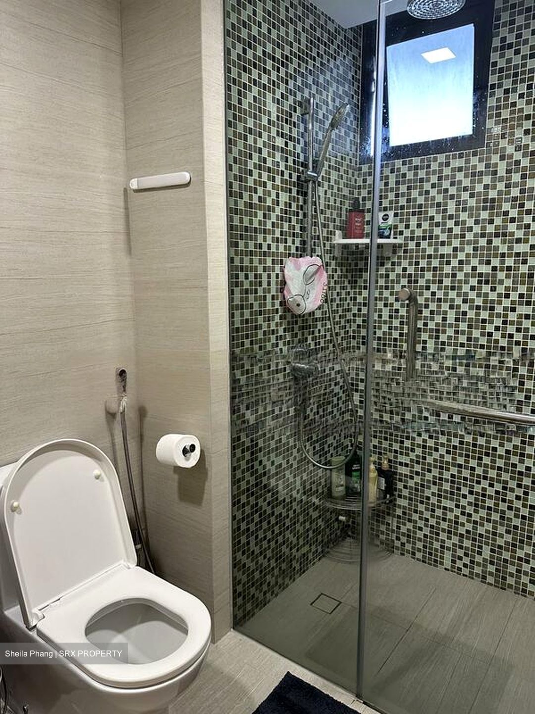 Sant Ritz (D13), Condominium #467653101